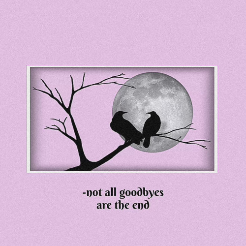 Flock of crows (FEAT. Throwed)