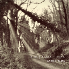 Sun, Trees, Tone