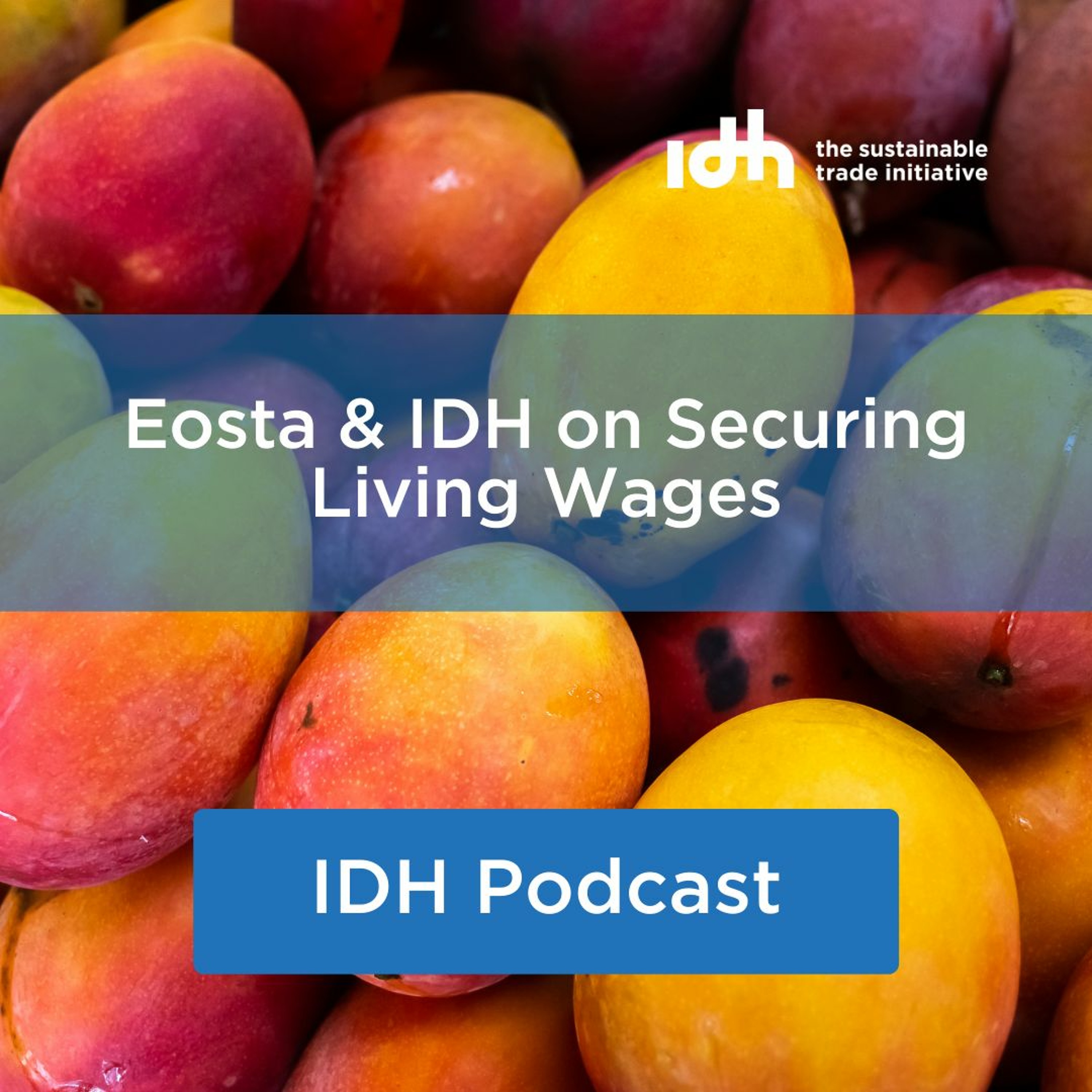 IDH Podcasts
