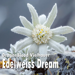 Edelweiss Dream