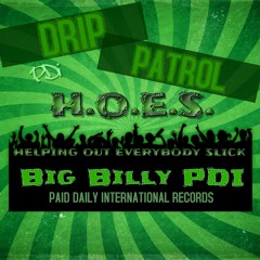 Helping Out Everybody Slick H.O.E.S.