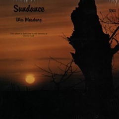 Wes Mossburg - Can't Take Anymore [ _Vaptan Hip hop hooray edit]