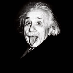 White Lotus Desert Rose