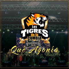 125 - QUE AGONIA - LOS TIGRES DE LA CUMBIA  (ACAPELLA) @RAFAEL DJ VIP 2023