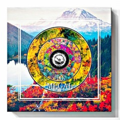 SPACE VIEWX [#90] Megal [South Africa, Dub Techno]