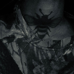 shelter [interlude] (prod. eza333)