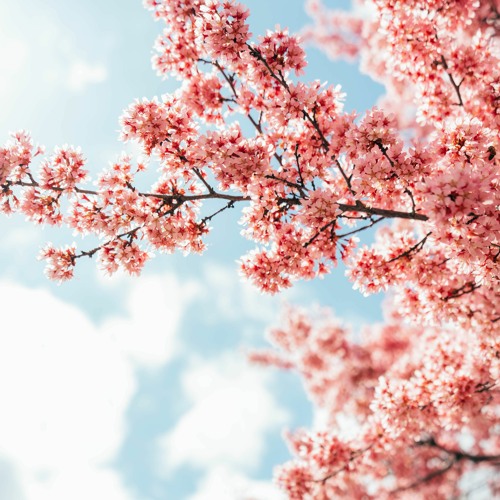 Mein Jesus ich lieb Dich - Team Rainer Harter