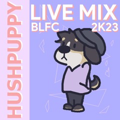 LIVE MIX @ BLFC 2K23
