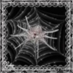 islurwhenitalk x sellasouls - xxtarxx