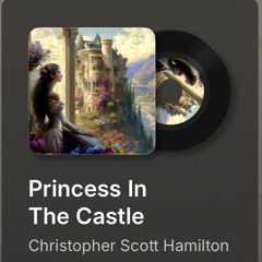 Princess In The Castle