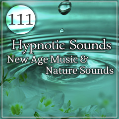 Relaxing Forest (Nature Sounds)