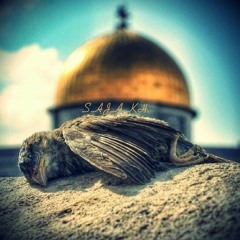 أروع تلاواة _للقارئ خالد الجليل_•• لآ يموت قلبٌ خالطت نبضآته القرآن  أرِح سَمَعك