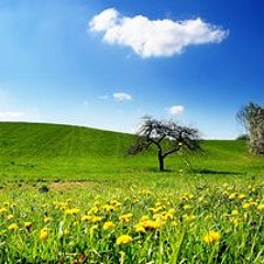 Let Us Hope When Hope Seems Hopeless