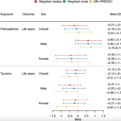 High Tyrosine Levels Linked to Shorter Lifespan in Men