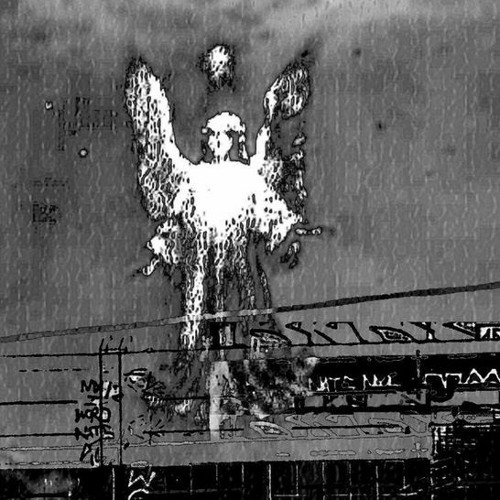 angels disco