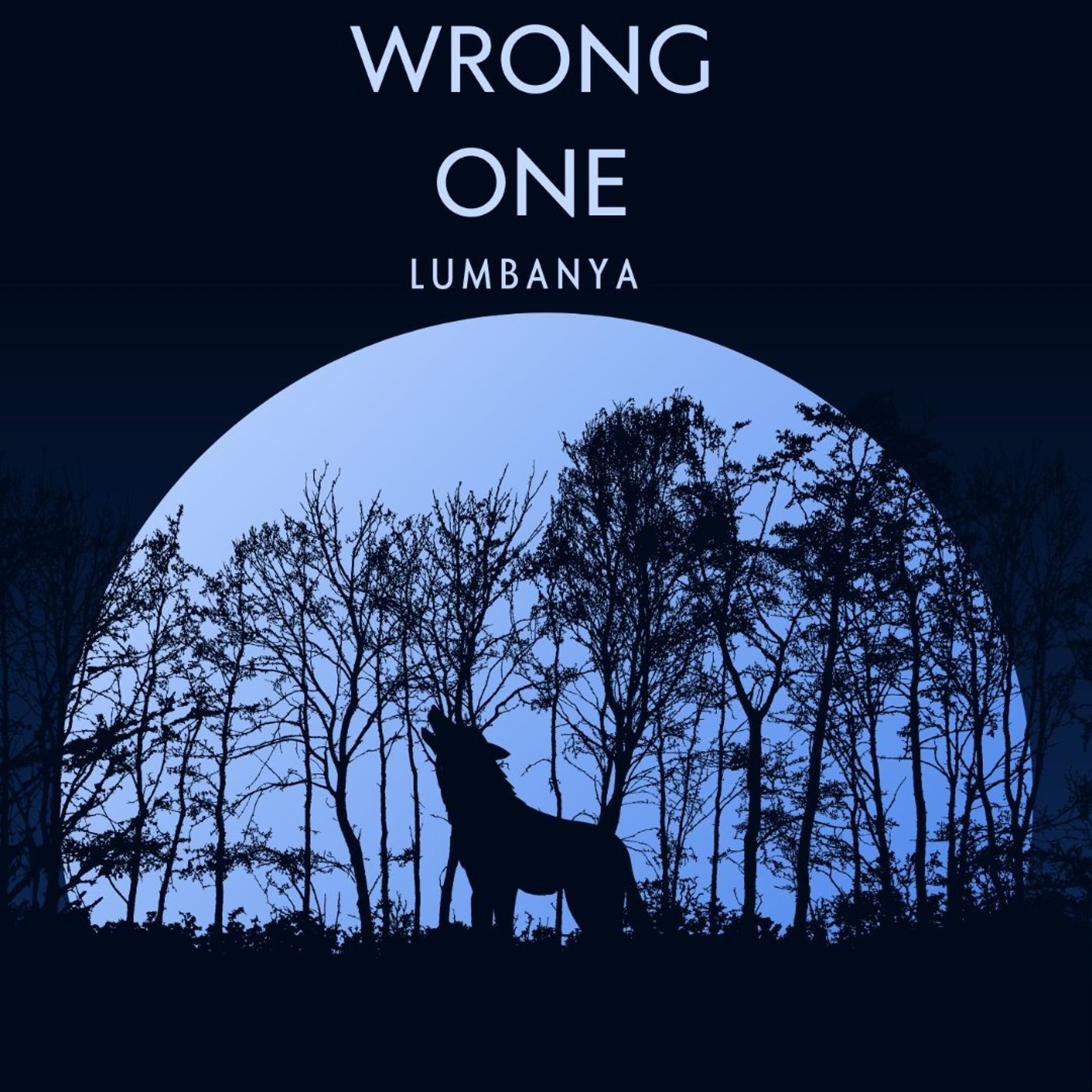 Wrong One (Prod. by searchingforbeats) episode artwork