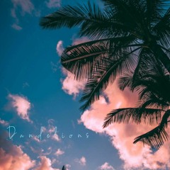 Dandelions - Ambient Remix