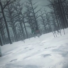 설(雪)