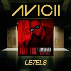 Avicii - Levels vs. Flo Rida - Hangover (Christian Stapel Mashup) FREE DL