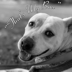 That's My Bou (Instrumental)