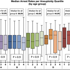 Embryo Arrest in IVF Linked to Maternal Age, Not Chromosomal Abnormalities