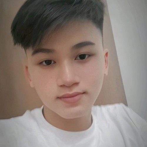 vanduy1