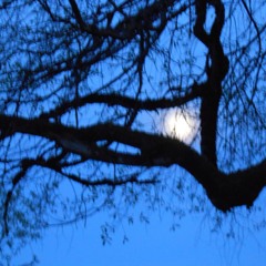 Grantby  'It's Coming'  Foil's burnt voice mix