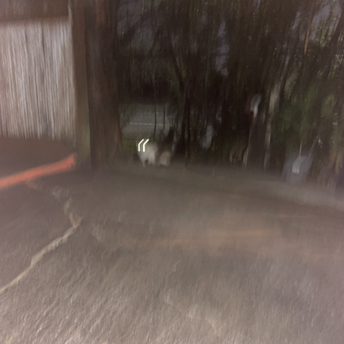 Sea of Deprivation - Unconditionally