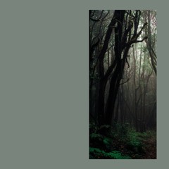 Singular Anomalies - Binaural EP [GRETA]