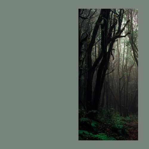 Singular Anomalies - Binaural EP [GRETA]