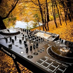 Funky Music | Best House Mix 2020 | Best of EDM | Club Dance Power by Escape dj