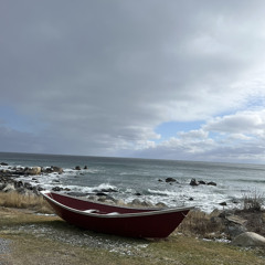 off szn backyard demo