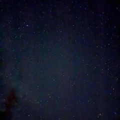 ‘Missing Bro’s”