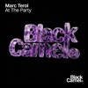 MARC TEROL - AT THE PARTY