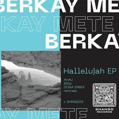 Berkay Mete - Hallelujah (Doga Erbek Remix)