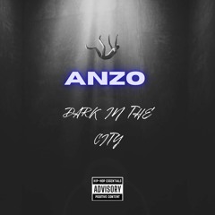 Anzo The City