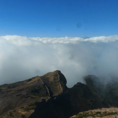 Hybrid Territories #7 / radioshow with hybrid liveset