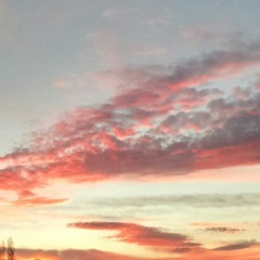 Pink - Dolyf