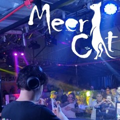 Meercat - Live Set Millenium 20-03-22