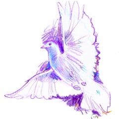 When Doves Cry, a tribute to Prince