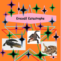 Krokodil Katastrophe