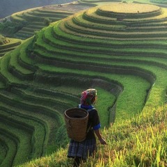 Tình Ca Tây Bắc TúnPrince ft QH Remix