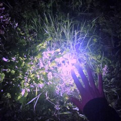 Theplantsgrowingoutofmybody