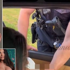 Video Nashville Sean Herman metropolitan cop tn jordin Video new