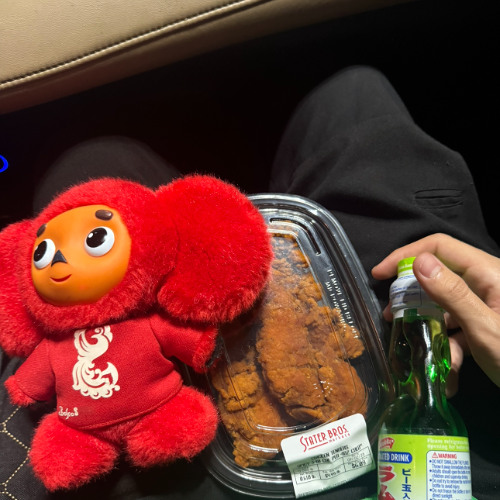 kountinsoul - filled w funds prod taimo