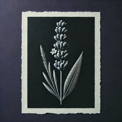 Slim (Zonate Mix Series)