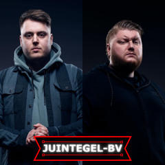 Adjuzt & Element - Execute