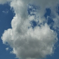 Follow Your Heart (Pre-Release - Rev 01)