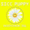 Daisychain 356 - Sicc Puppy