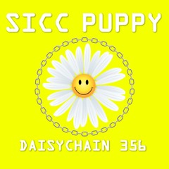 Daisychain 356 - Sicc Puppy